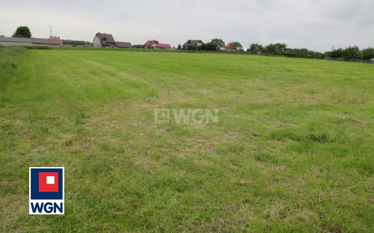 Działka na sprzedaż, 18600 m², Koziegłowy Cynków - Widok 2