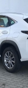 Lexus NX NX 14- 200t Elite 2WD | Vat-23% | SalonPolska-3