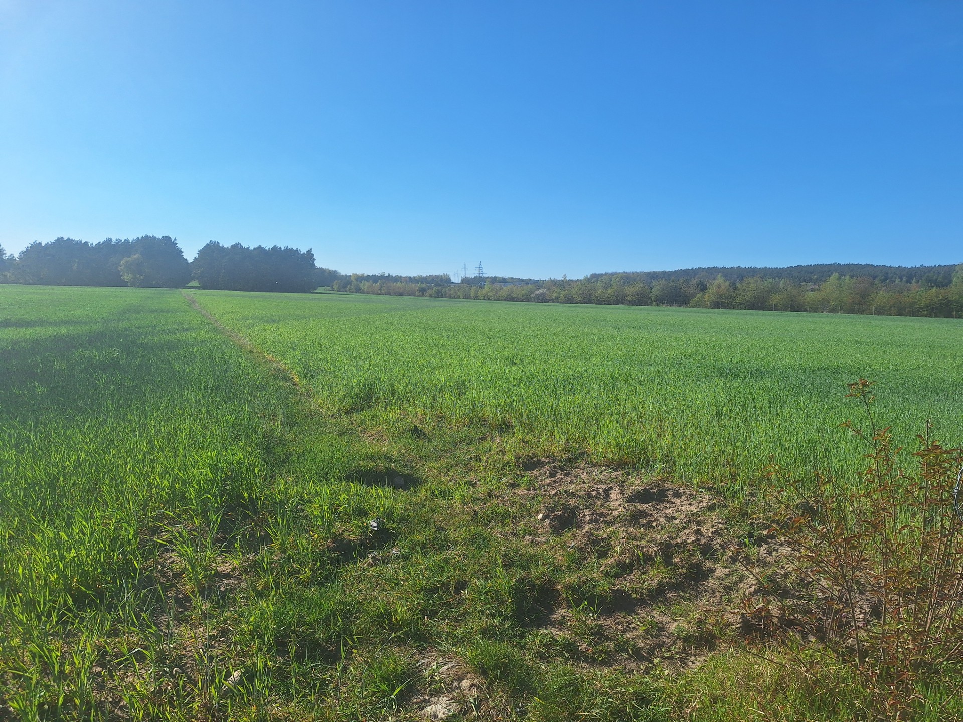 Atrakcyjne działki 1000 m² w Serocku – 30 min od Warszawy! - Widok 2