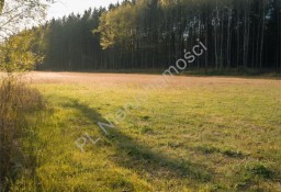 Działka budowlana Zalesie