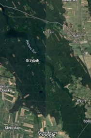 Grzybek Tleń działka leśna 7455m2 jezioro 90m-2