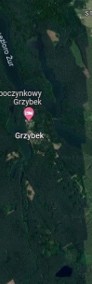 Grzybek Tleń działka leśna 7455m2 jezioro 90m-3