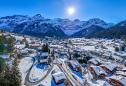 Lokal Les Diablerets