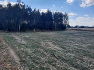 Działka rolna Kołodziejewo