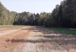 Działka rolna Dobrzanów