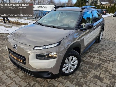 Citroen C4 Cactus I-1