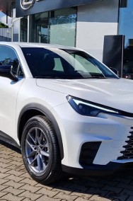 Lexus LBX 1.5 Hybrid LBX LBX 1.5 Hybrid | Czujniki parkowania-2