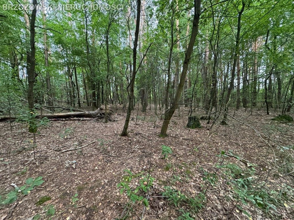 Strzeniówka, 1220 m², MPZP wolnostojąca - Ansicht 2