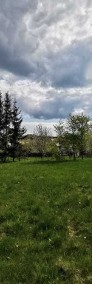 Działka rolna w pięknym zakątku blisko Świeradowa-3