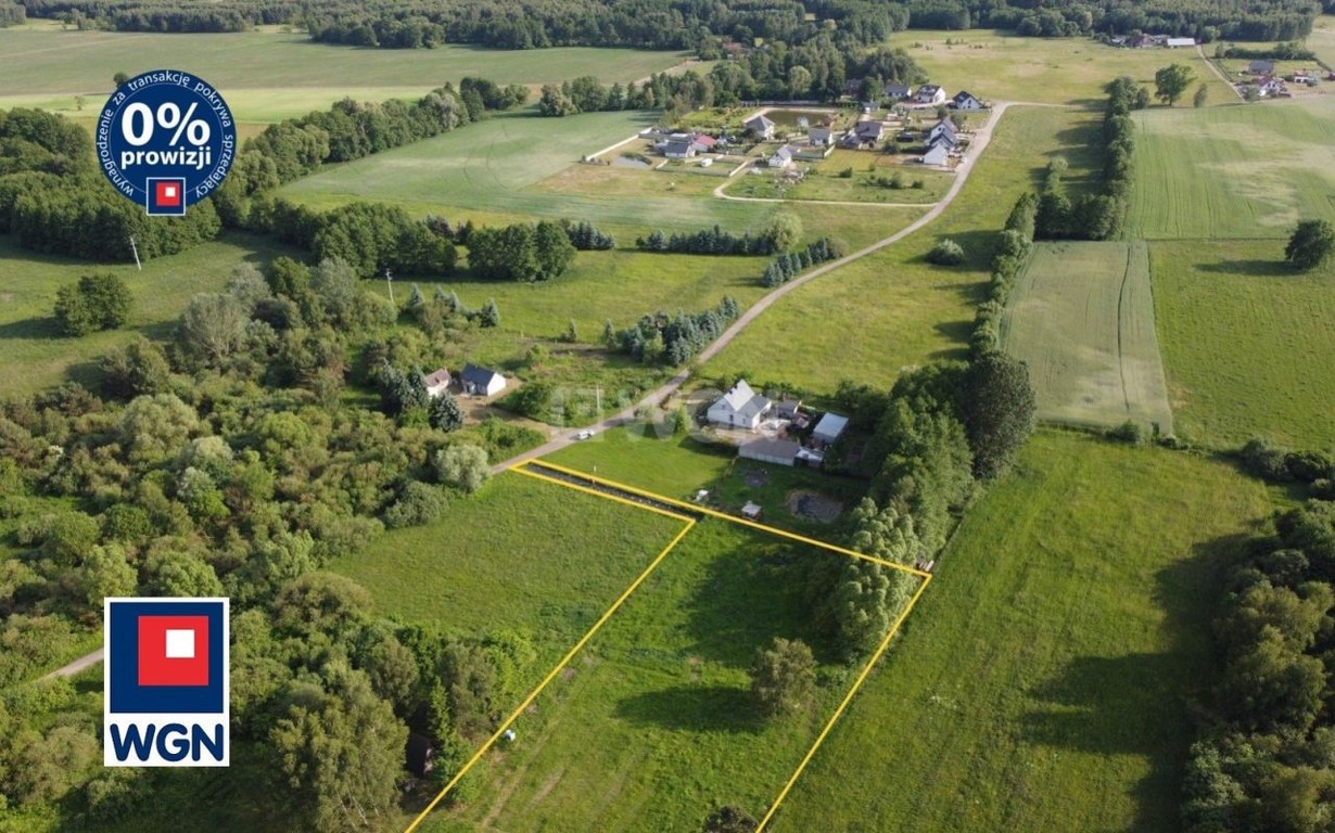 Działka na sprzedaż, 9209 m², Nekla Nekla - Widok 2