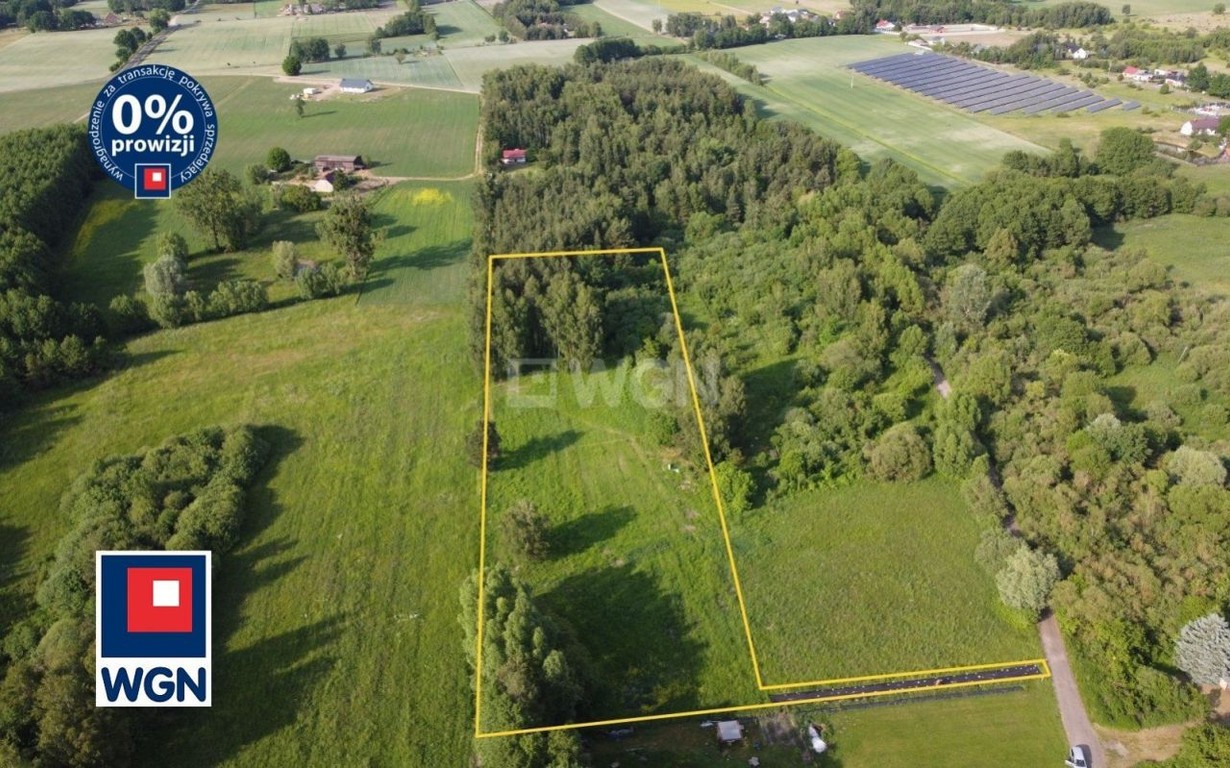 Działka na sprzedaż, 9209 m², Nekla Nekla - Widok 4