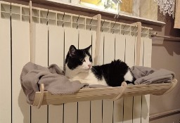  Leżanka dla kota na grzejnik/ balustradę