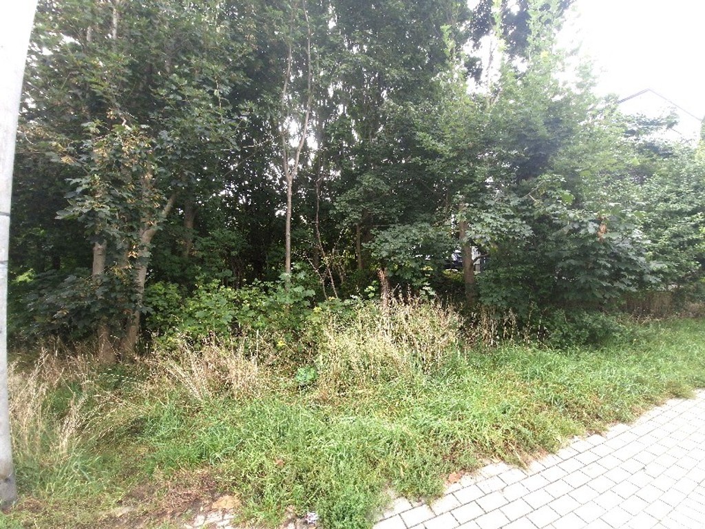 działka lub grunt na sprzedaż