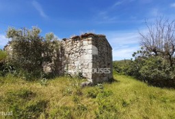 Dom Santa Ovaia E Vila Pouca Da Beira