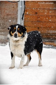 Ginny - pozostaje niewidoczna-2