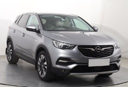 Opel Inny Opel Salon Polska, 1. Właściciel, Serwis ASO, Skóra, Klimatronic,