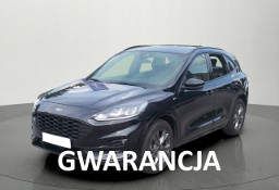 Ford Kuga IV 1.5 150KM ST-line. Od Dealera.