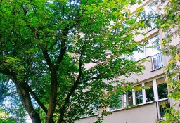 Mieszkanie - Bielsko-Biała , os. Złote łany , 2 pokojowe , 41,40 m2, niski blok 