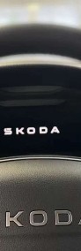 Skoda Kamiq-4