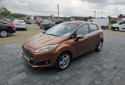 Ford Fiesta VIII kupiony w polskim salonie 2012/2013r.