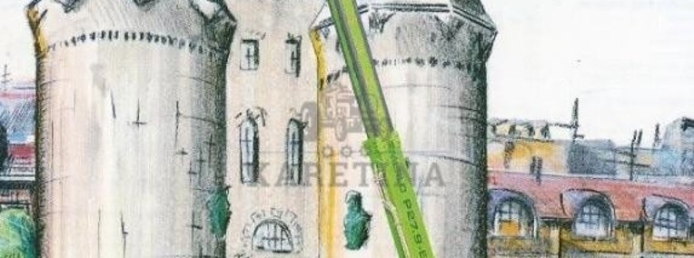 Merlo Panoramic Evolution p 27.9 EVX [CZĘŚCI MECHANICZNE] - Zwolnica - Zwrotnica-1