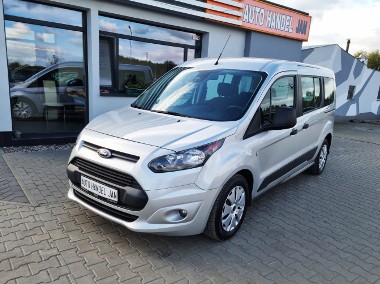 Ford Transit Connect-1