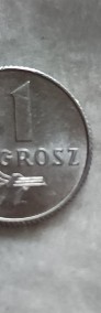 Sprzedam monetę 1 grosz 1949 rok-4