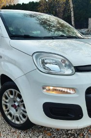 Fiat Panda III Klima, Bezwypadkowy-2