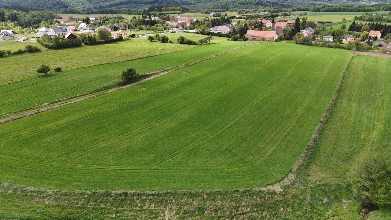 Działka na sprzedaż, 3000 m², Świdnica - Widok 3