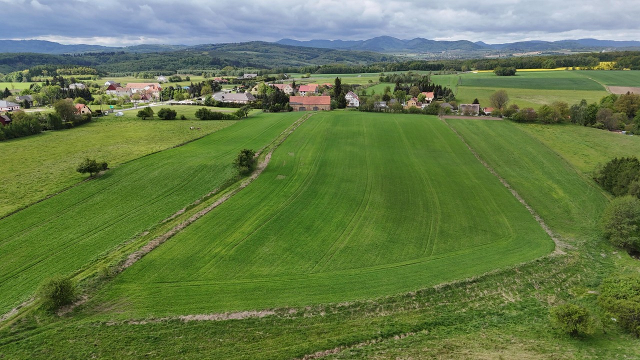 Działka na sprzedaż, 3000 m², Świdnica - Widok 6