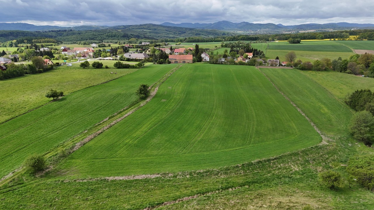 Działka na sprzedaż, 3000 m², Świdnica - Więcej