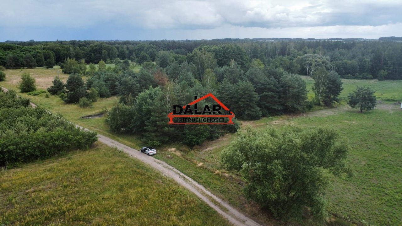 Zadrzewiona działka w Aleksandrowie przy rzece - Widok 4