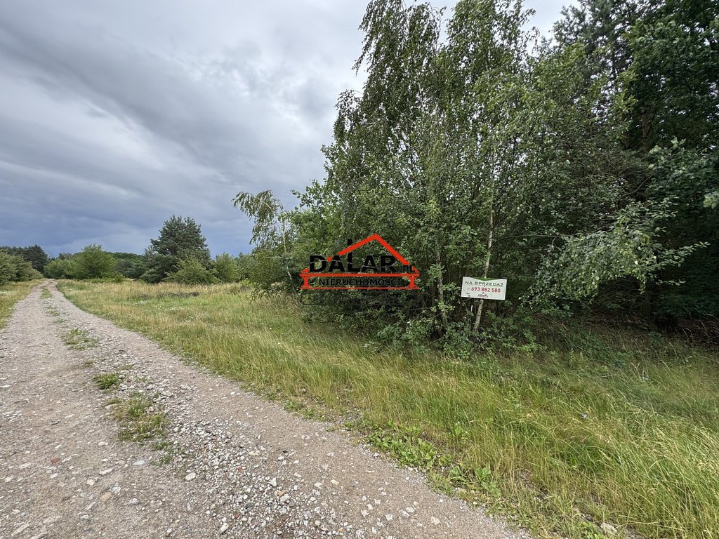 Zadrzewiona działka w Aleksandrowie przy rzece - Widok 5