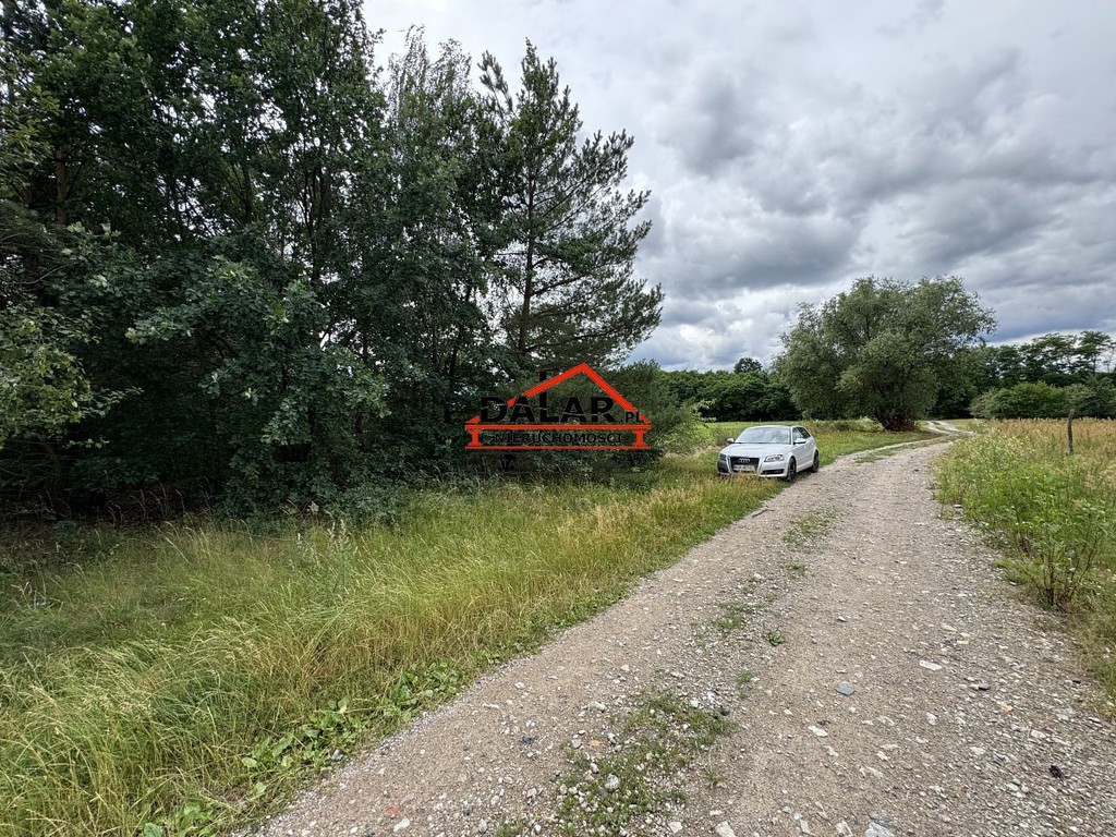 Zadrzewiona działka w Aleksandrowie przy rzece - Widok 6