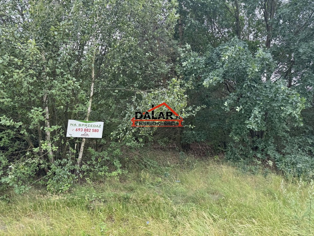 Zadrzewiona działka w Aleksandrowie przy rzece - Więcej
