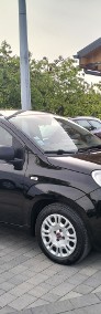 Fiat Panda III 1.2 Benzyna 70 KM Oryginalny Przebieg Serwisowny-3