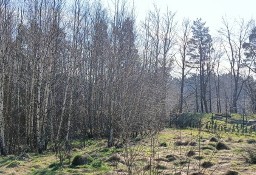 Działka budowlana Gościcino, ul. Cyprysowa