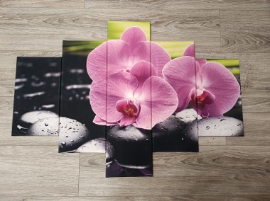 Obraz na płótnie różowy storczyk orchidea-1