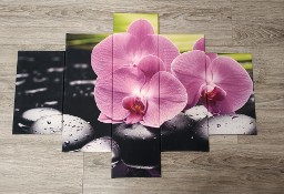 Obraz na płótnie różowy storczyk orchidea