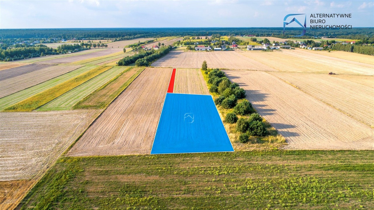 Inwestycyjna działka rolna w Rudce Kozłowieckiej - Widok 5