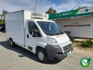 Fiat Ducato Mrożnia -22°C przygotowana do rejestracji