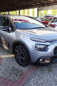 POLSKI SALON/ I WŁAŚCICIEL-2