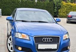 Audi A3 II (8P) Alu Klima S-Line 4 x 4