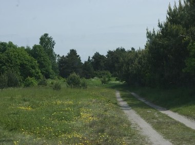 Działka rolna Smołdziński Las, ul. Smołdziński Las-1