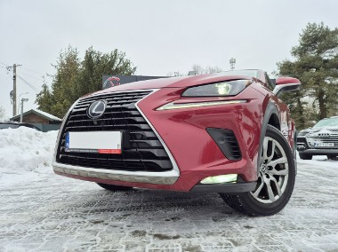 Lexus NX NX 14- Bezwypadkowy-1