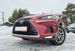 Lexus NX NX 14- Bezwypadkowy