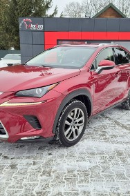 Lexus NX NX 14- Bezwypadkowy-2