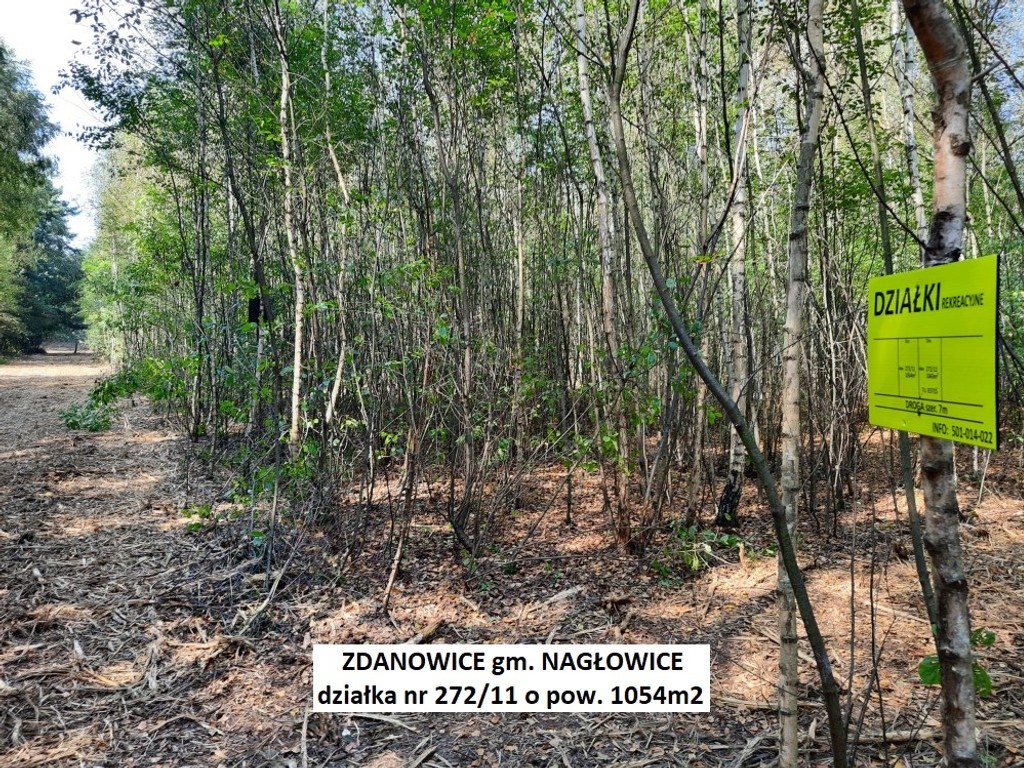 Tania działka rekreacyjna (plan) 1054 m² tylko 54.900 zł - Widok 2