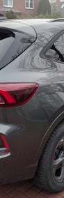 Ford Kuga IV ST-Line X 2.5 FHEV ST-Line X 2.5 FHEV 183KM / Hak, Pakiet Winter-3