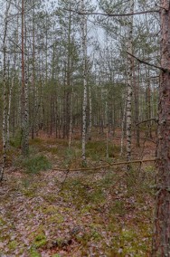 Urokliwa działka leśna w Wesołej (0,4 ha)-2